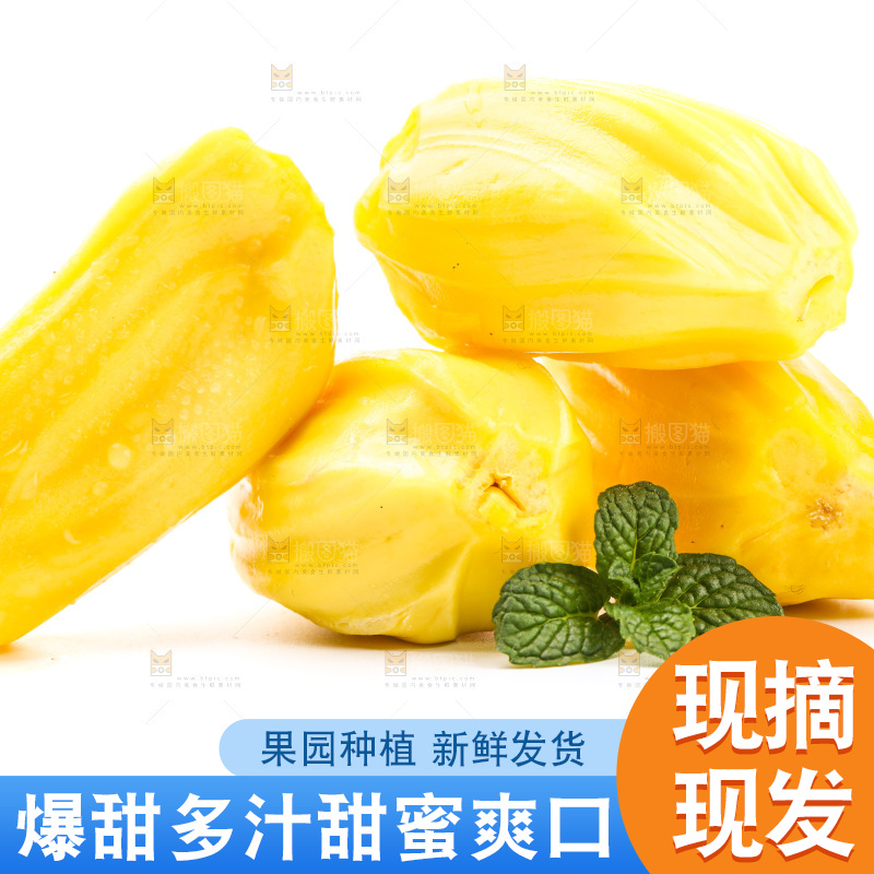 白底上的黄肉菠萝蜜