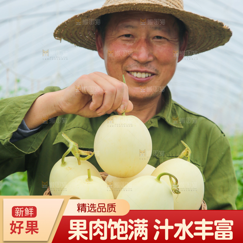 手里端着一篮阎良甜瓜