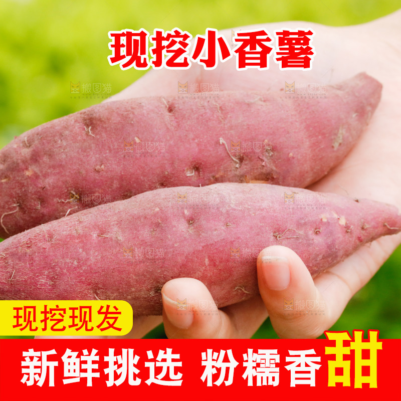 手里拿着小蜜薯