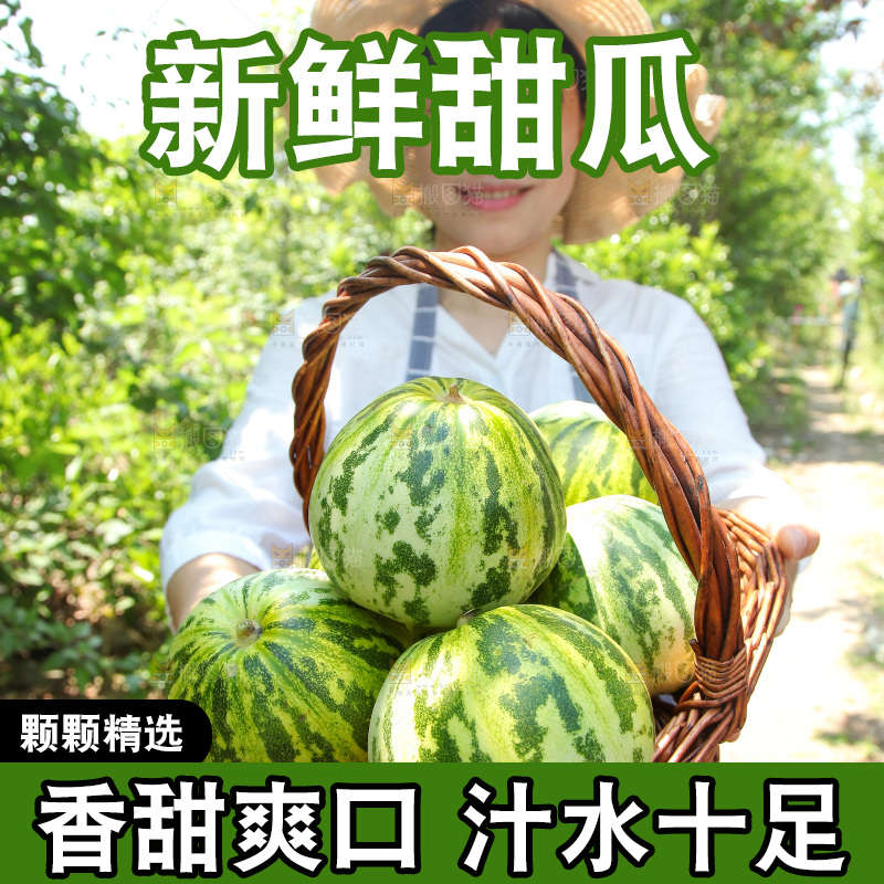 手里端着一篮八里香瓜