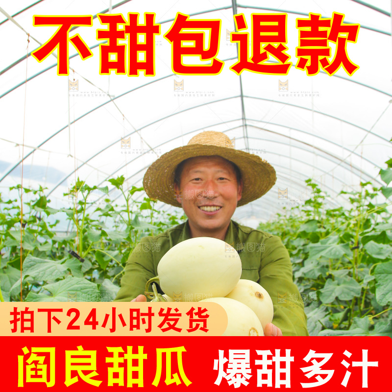 手里捧着阎良甜瓜