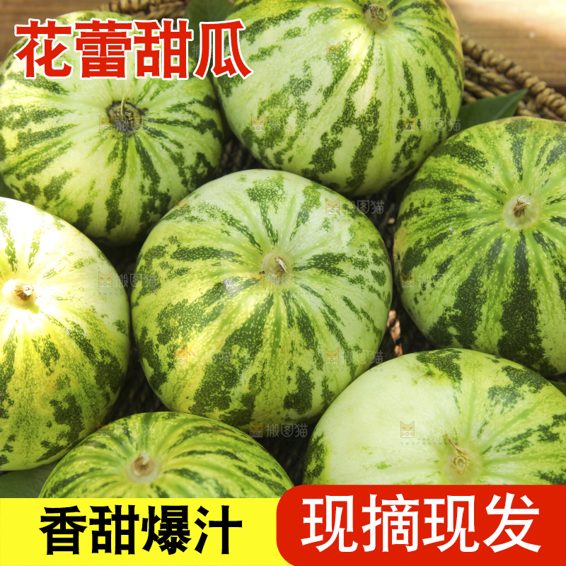桌子上放着一篮八里香甜瓜