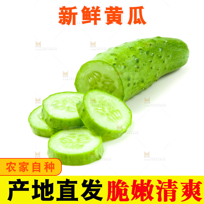白底上放着旱黄瓜