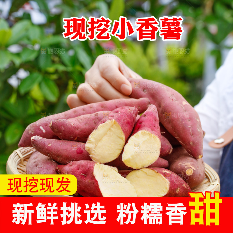 手里端着一篮临安小香薯
