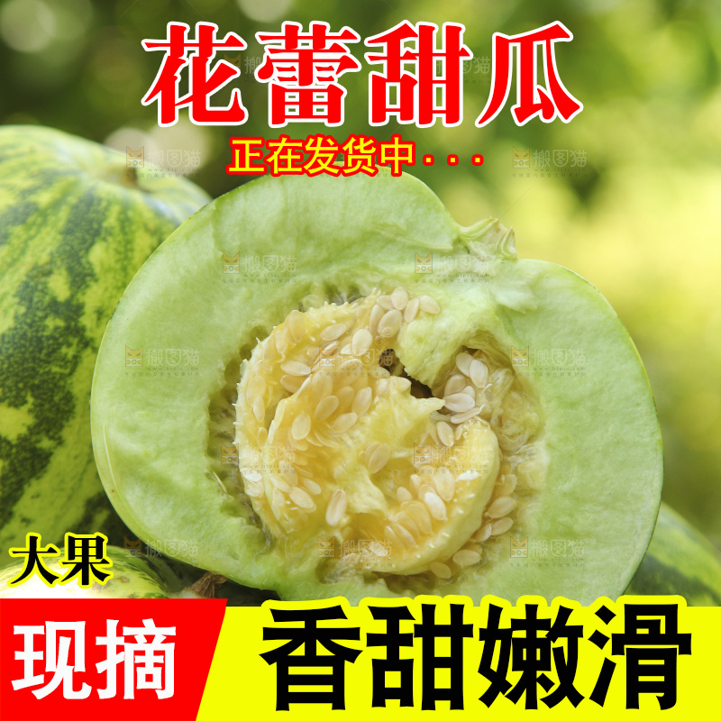 一篮新鲜花蕾甜瓜