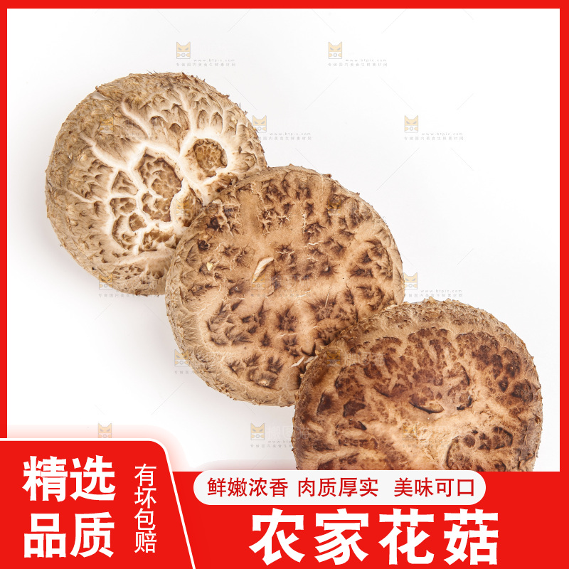 白底上放着花菇