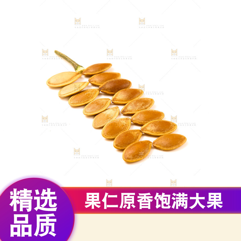 白底上的南瓜子
