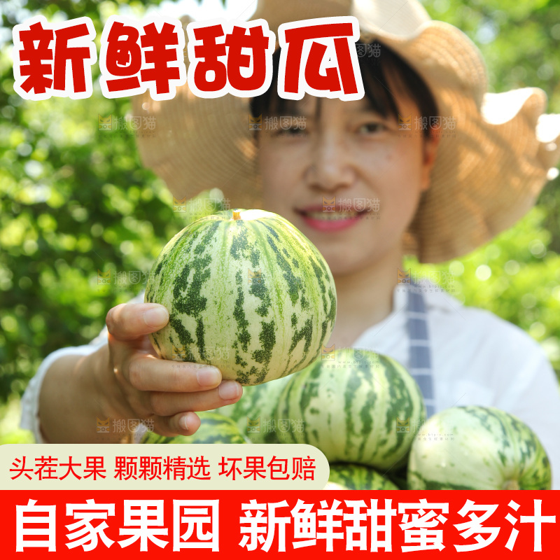 手里拿着香瓜