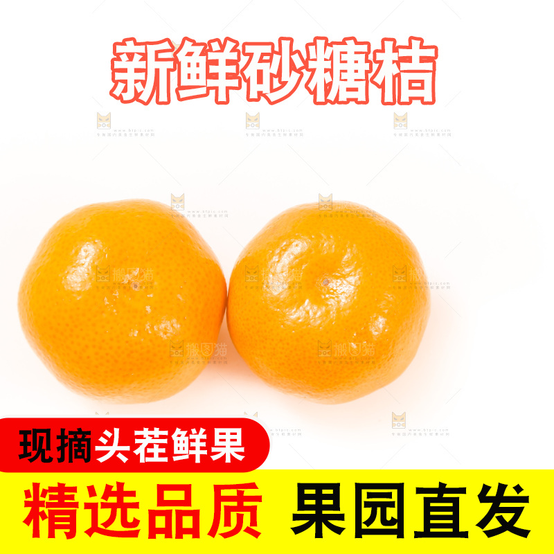 白底上的砂糖桔