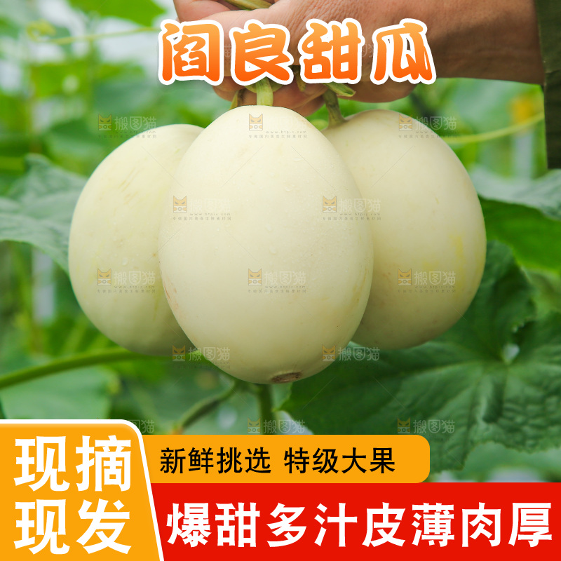 手里拿着甜瓜