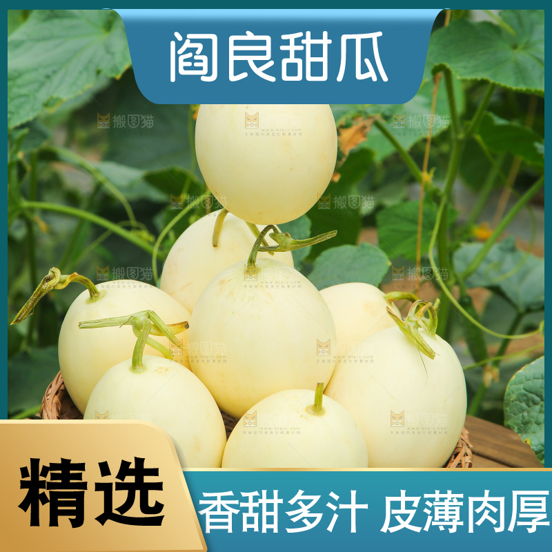 一篮阎良甜瓜