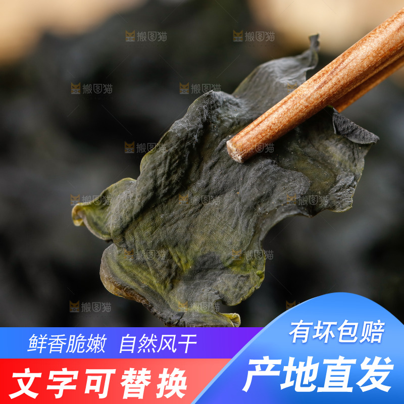 筷子上夹着干裙带菜