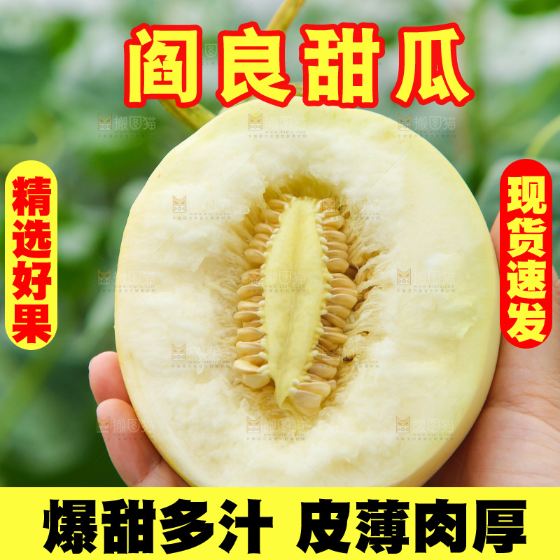 手里拿着阎良甜瓜