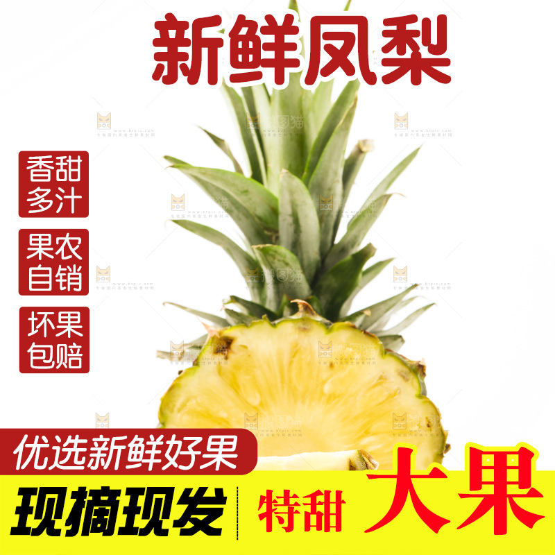 白底上摆放着海南凤梨