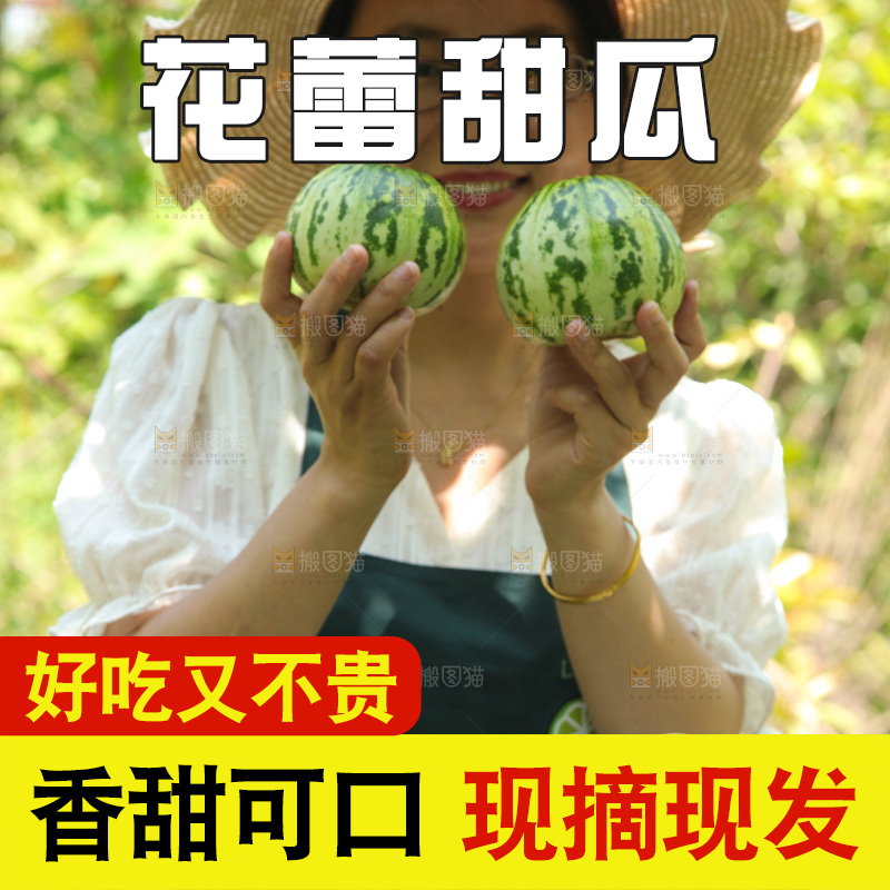 手里拿着花皮甜瓜