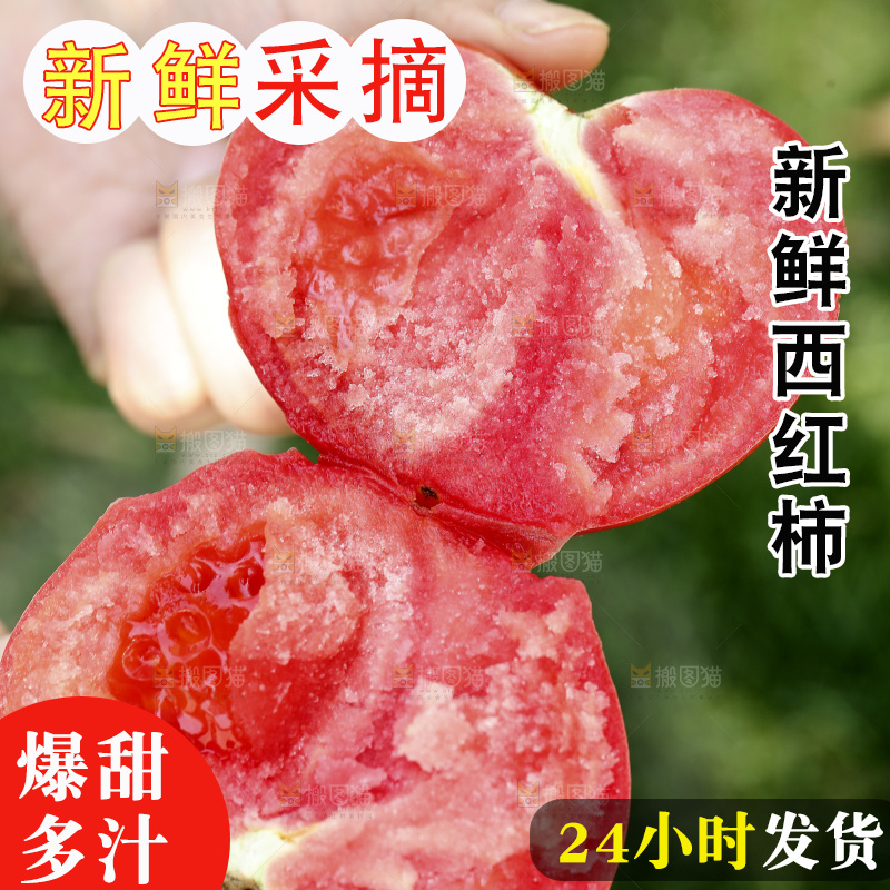 手里拿着沙瓤西红柿