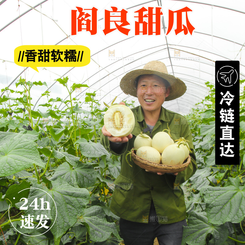 手里拿着阎良甜瓜