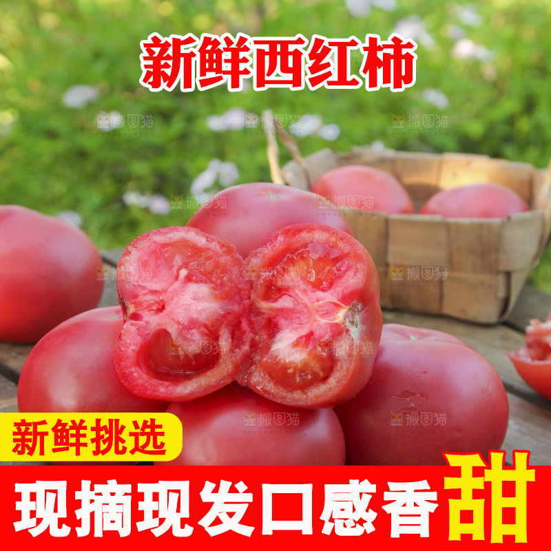 一堆普罗旺斯西红柿