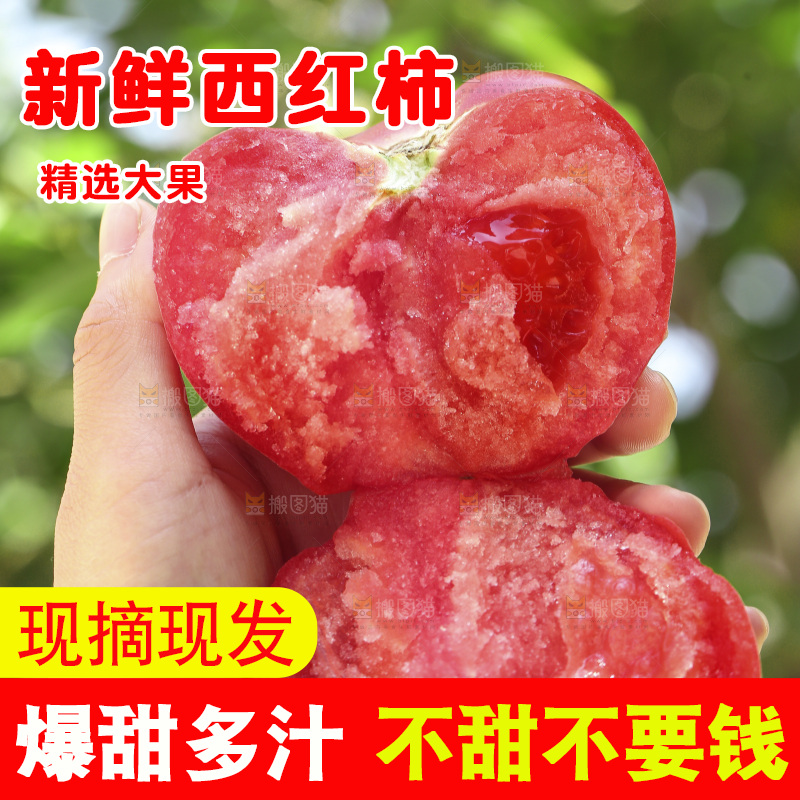 手里拿着沙瓤番茄