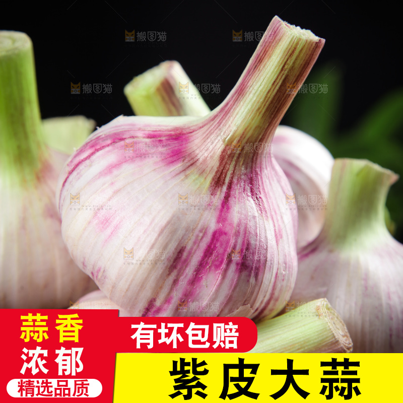 一堆新鲜紫皮大蒜