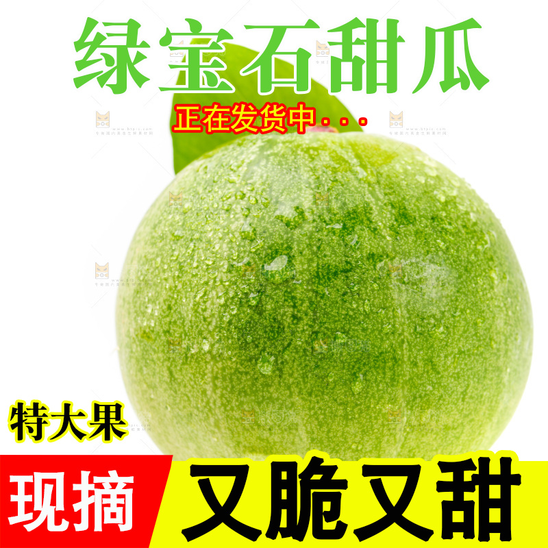 白底上放着绿宝甜瓜