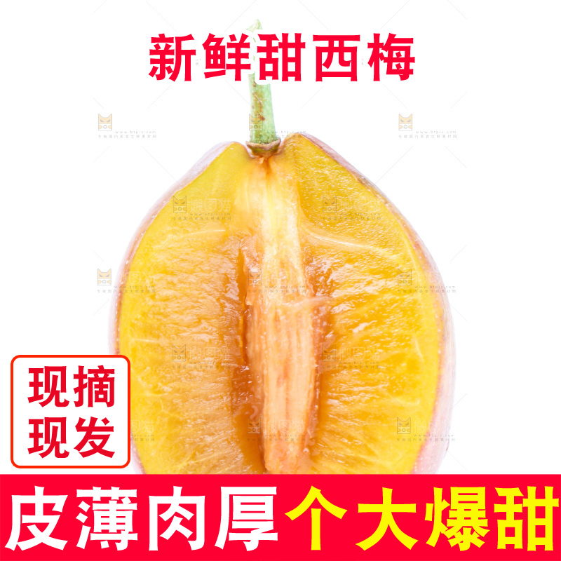 浅底上的新疆西梅