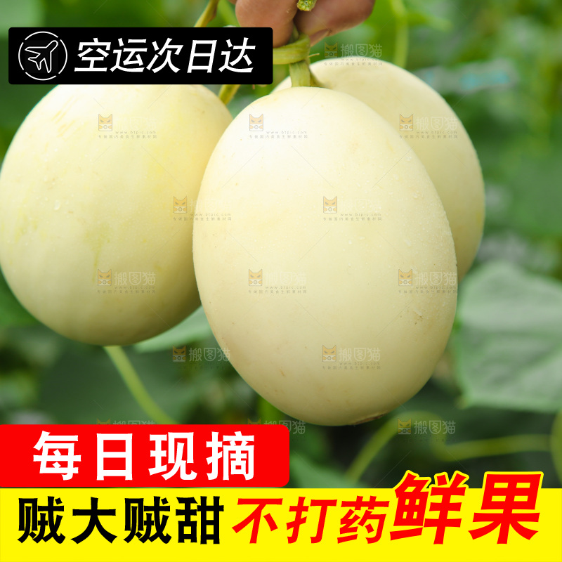 手里拿着甜瓜