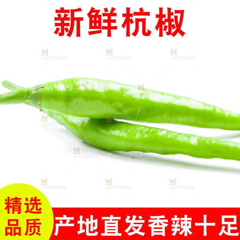 白底上放着杭椒