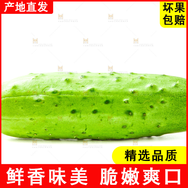 白底上放着旱黄瓜