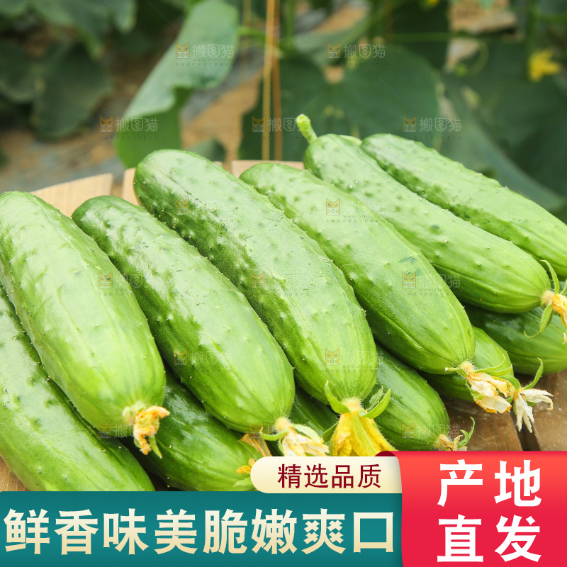 桌子上放着一堆黄瓜