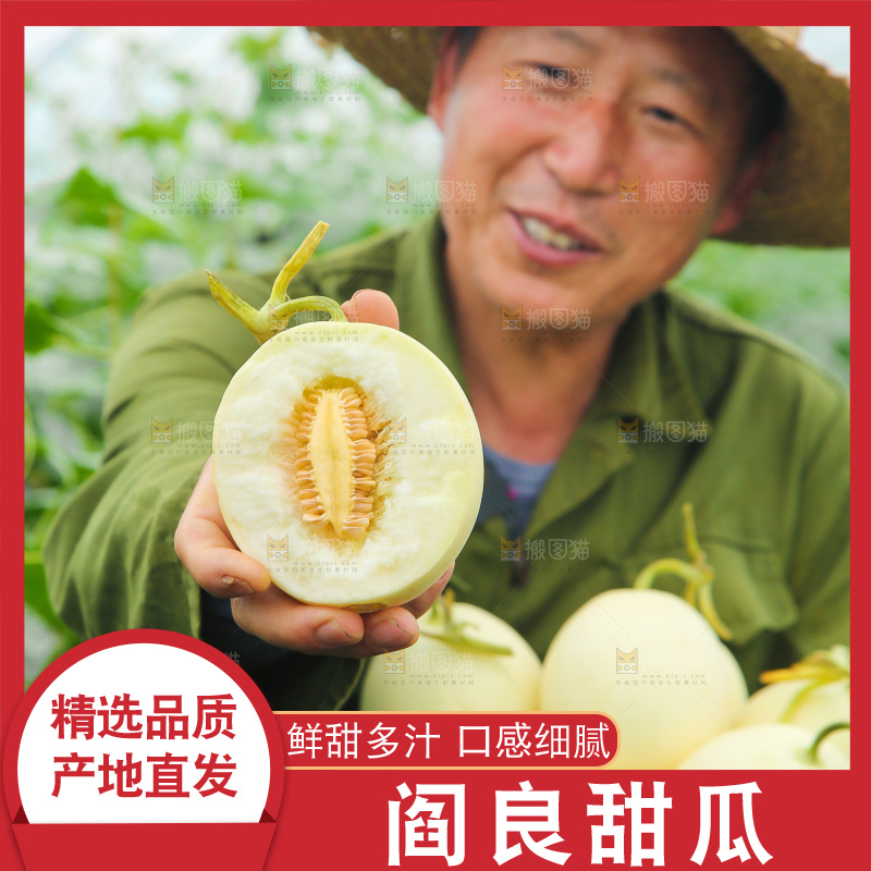 手里拿着阎良甜瓜