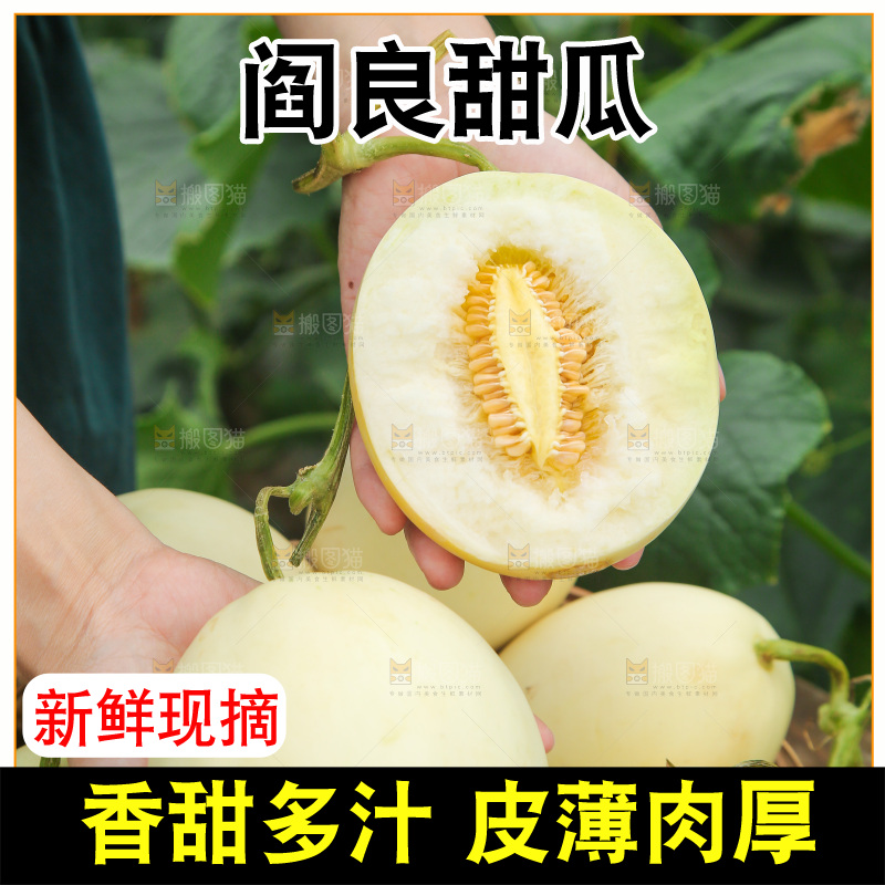 手拿着阎良香瓜
