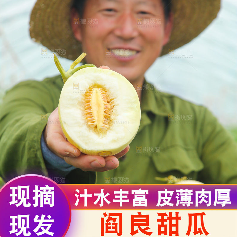 手拿着阎良香瓜