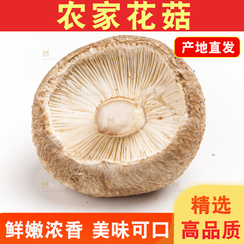 白底上放着花菇