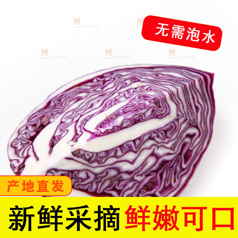 白底上放着紫包菜