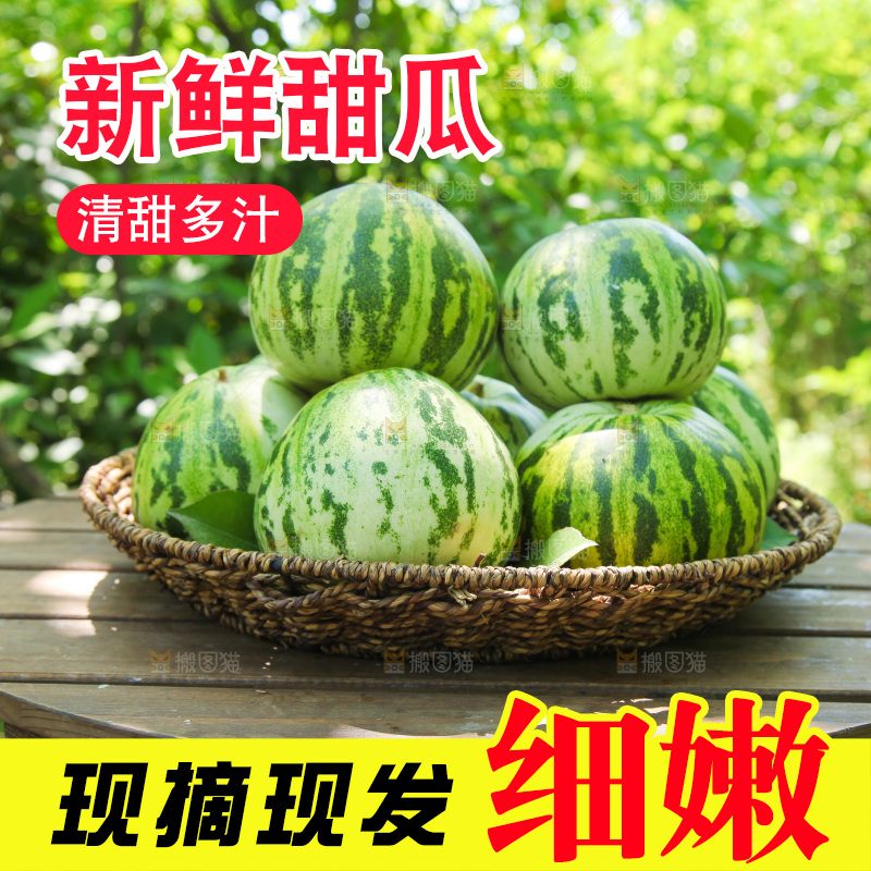 桌子上放着一篮八里香甜瓜