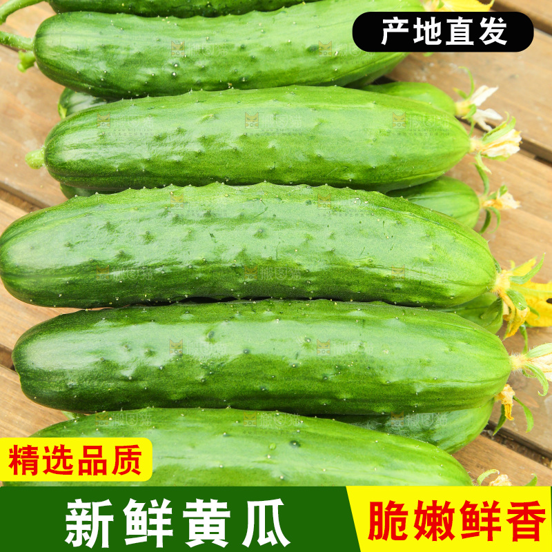 桌子上放着一堆黄瓜