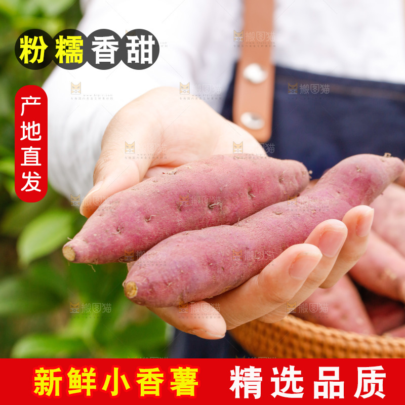 手里拿着小蜜薯
