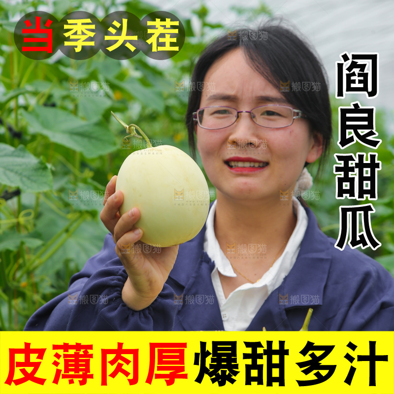手里拿着阎良甜瓜