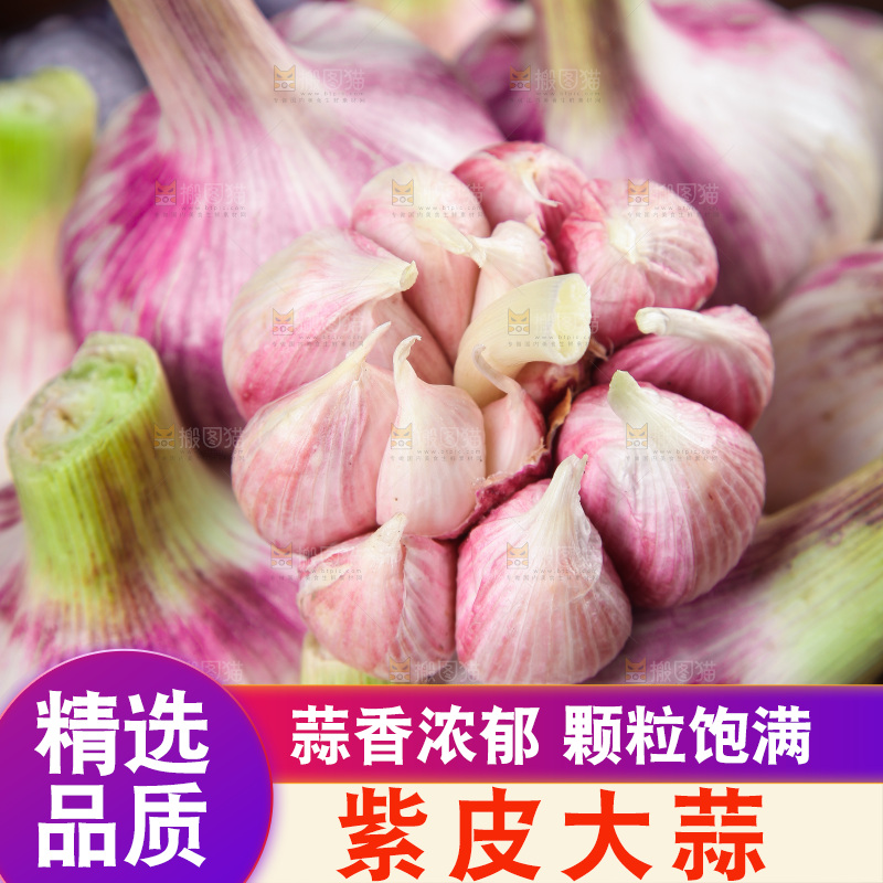 一堆新鲜紫皮大蒜