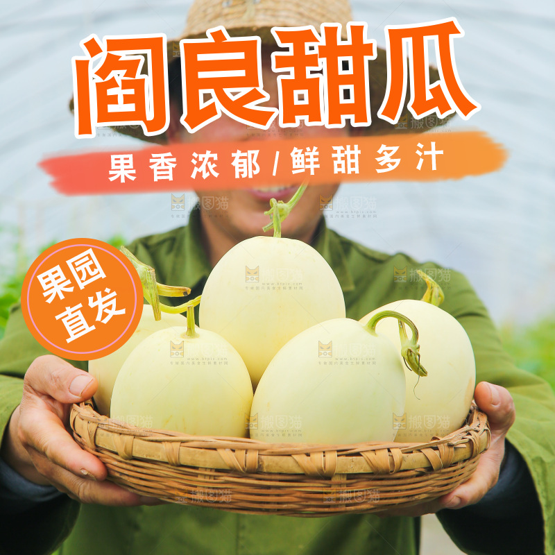 手里端着一篮阎良甜瓜