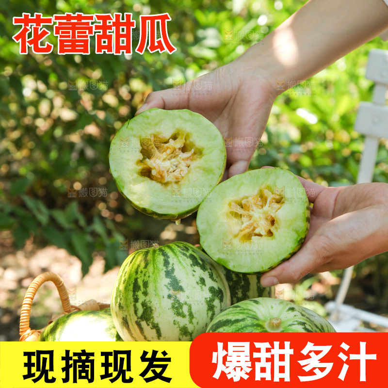 手里拿着甜瓜