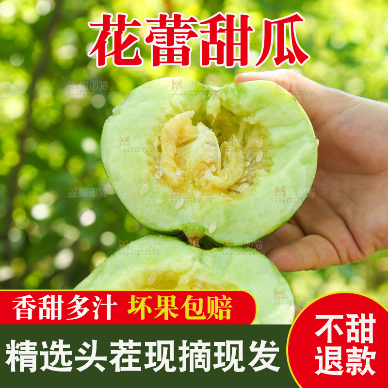 手里拿着甜瓜