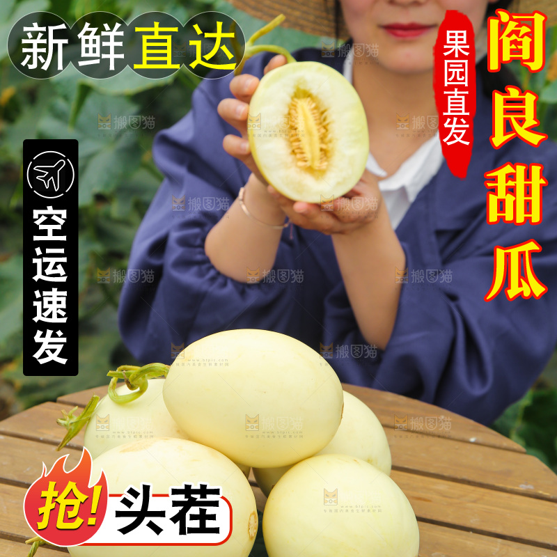 手里拿着阎良甜瓜