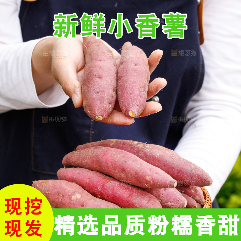 手里端着一篮小香薯