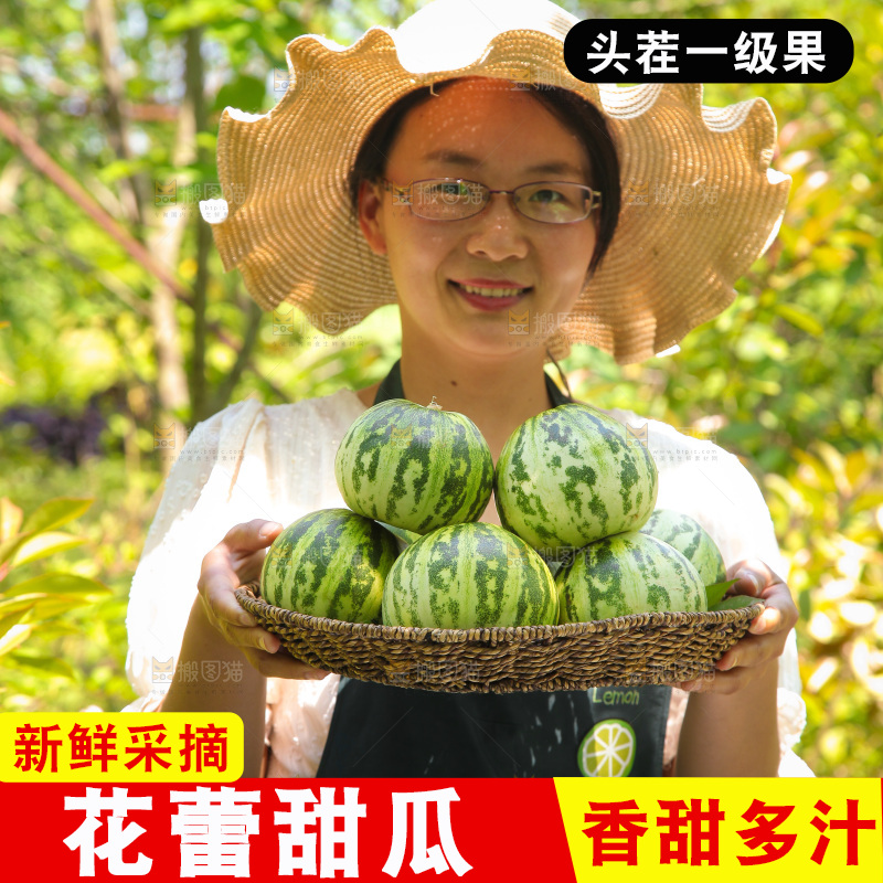 手里端着一篮花蕾甜瓜