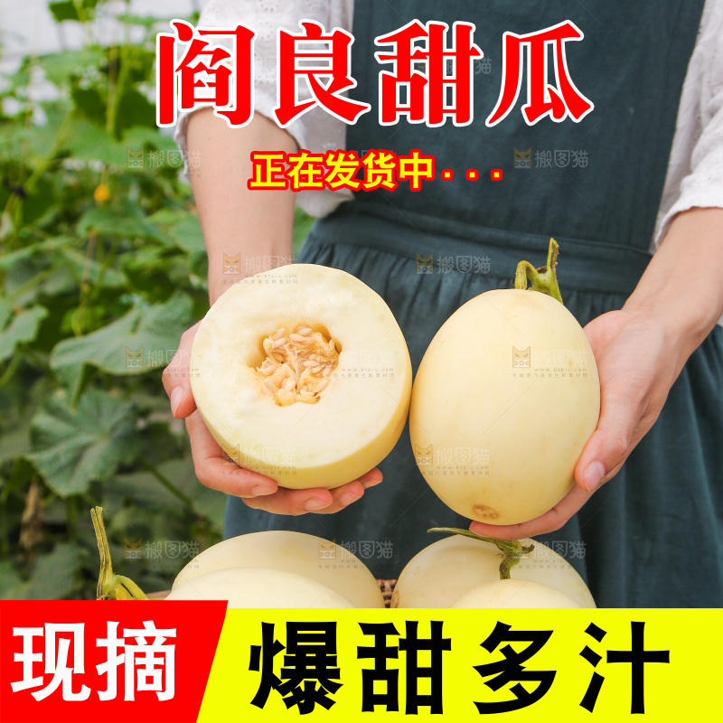 手里拿着甜瓜