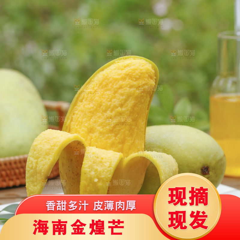 桌子上放着金煌芒