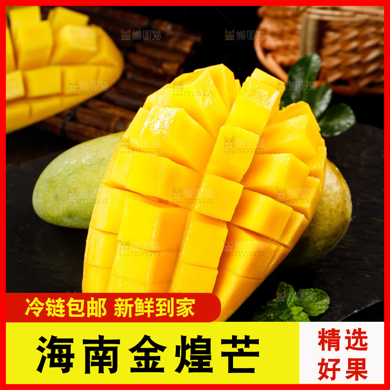 黑底上放着海南金煌芒