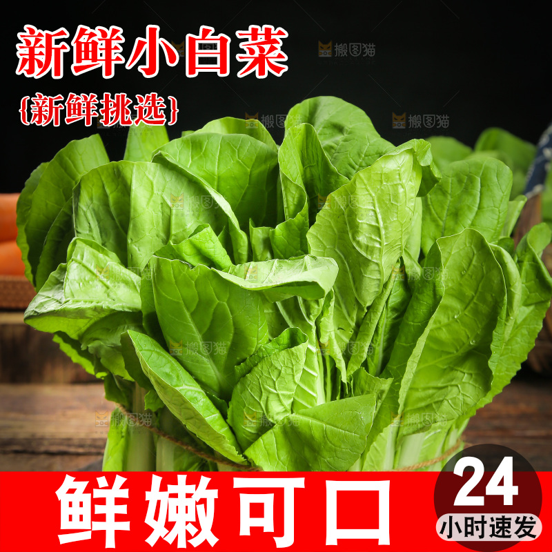 木底上放着一捆新鲜小白菜